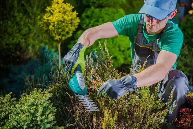 landscaping services Collins